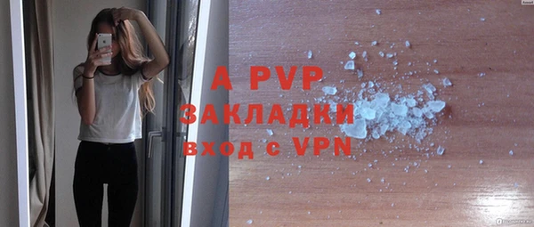 таблы Богданович