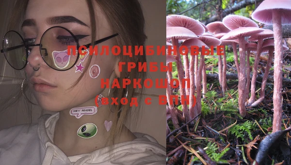 таблы Богданович