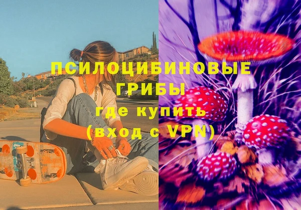 таблы Богданович