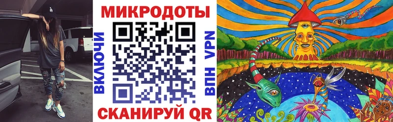 Купить где  Севск  Псилоцибиновые грибы Cubensis 